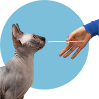 Feature_Swab_Species_Cat_Product_OS.png