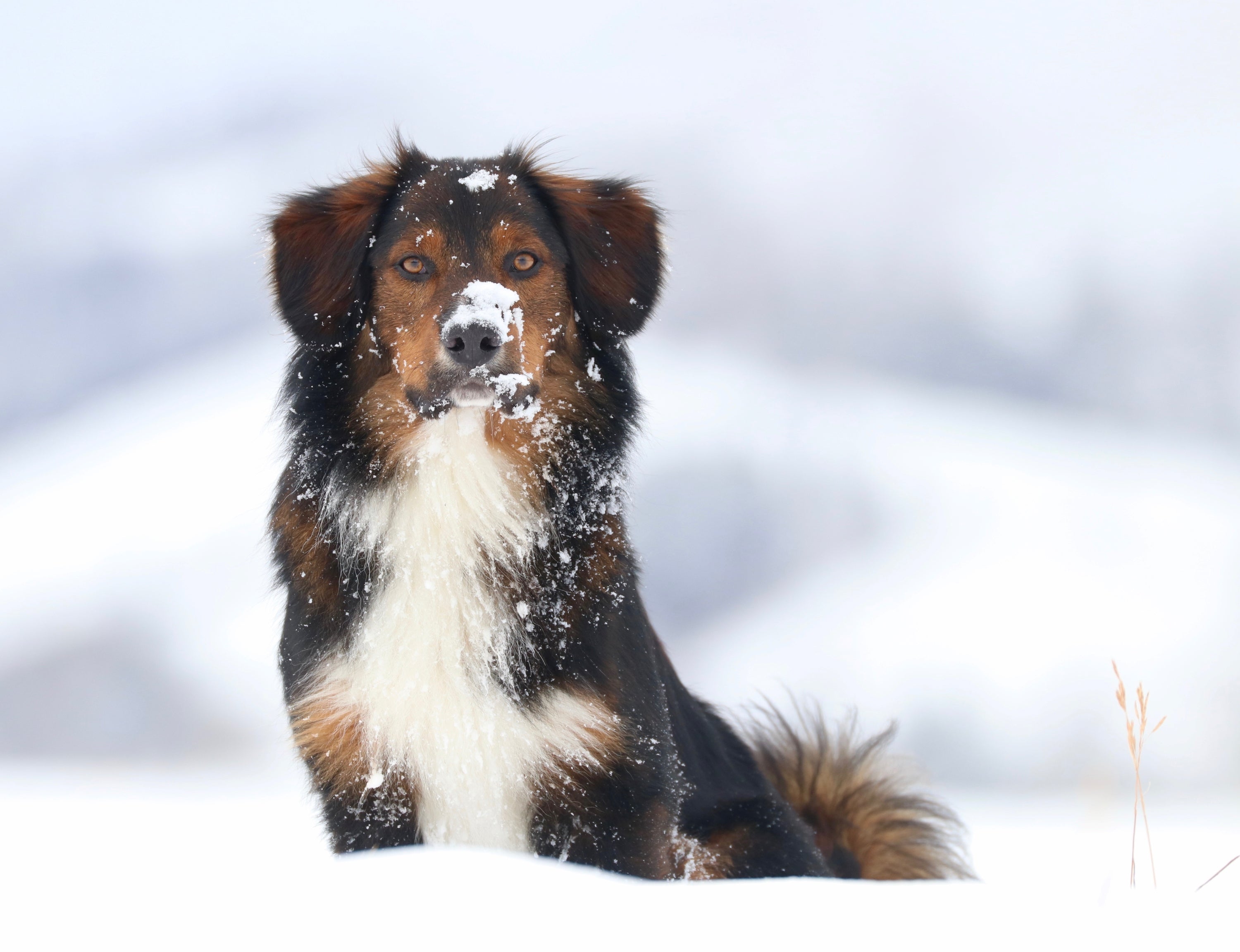 shutterstock_1930758476_small_8828d1df-b424-49ac-ad2f-dc64d31e49da.jpg