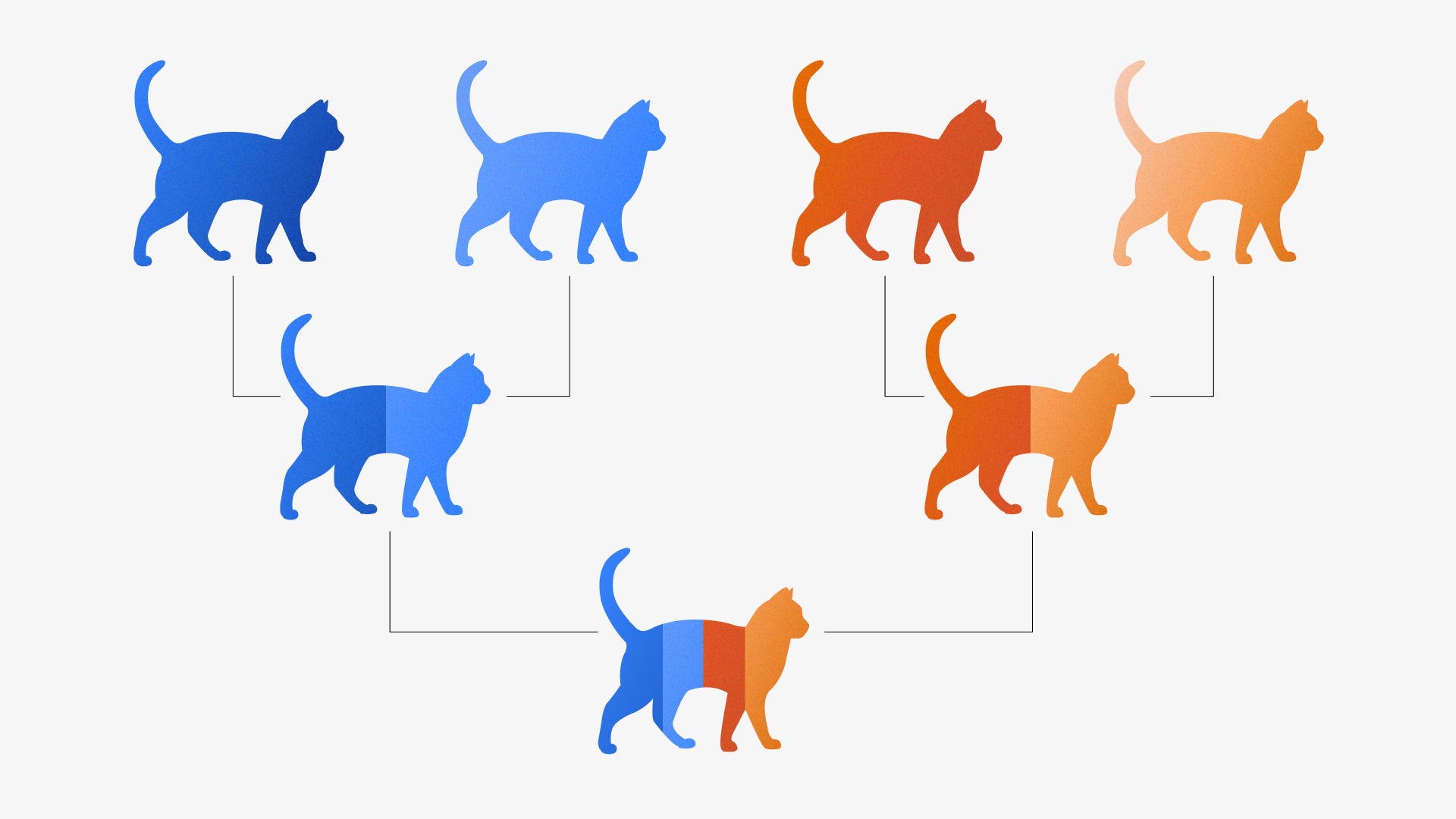 Feline Parentage Explained