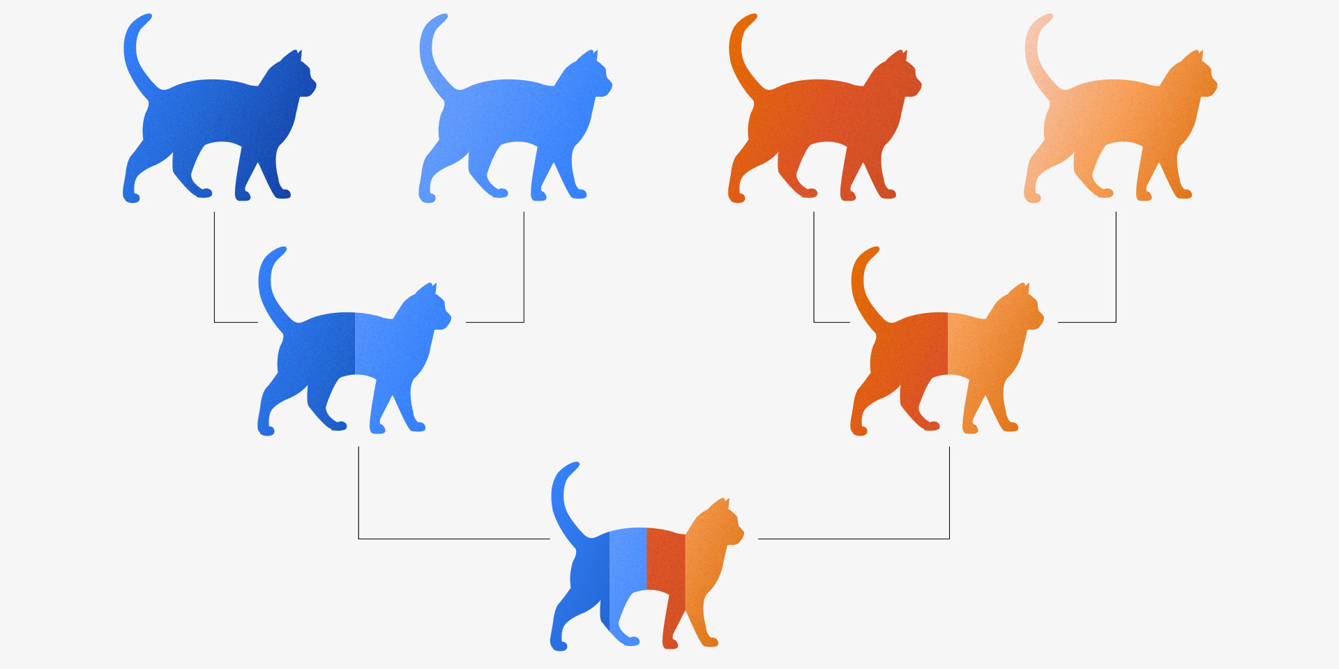 Feline Parentage Explained