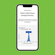 MyCatDNA™+ DNA Profile with Parentage Service