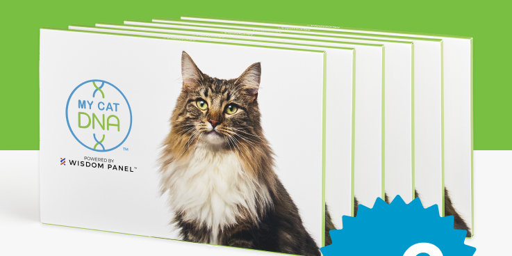 MyCatDNA™ Litter Pack