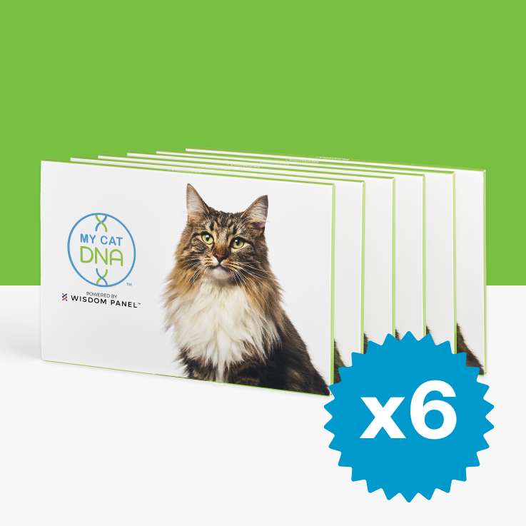 MyCatDNA™ Litter Pack