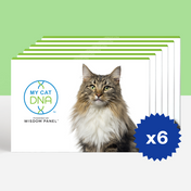 MyCatDNA™ Litter Pack