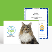 MyCatDNA™+ DNA Profile with Parentage Service