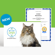 MyCatDNA™+ DNA Profile with Parentage Service