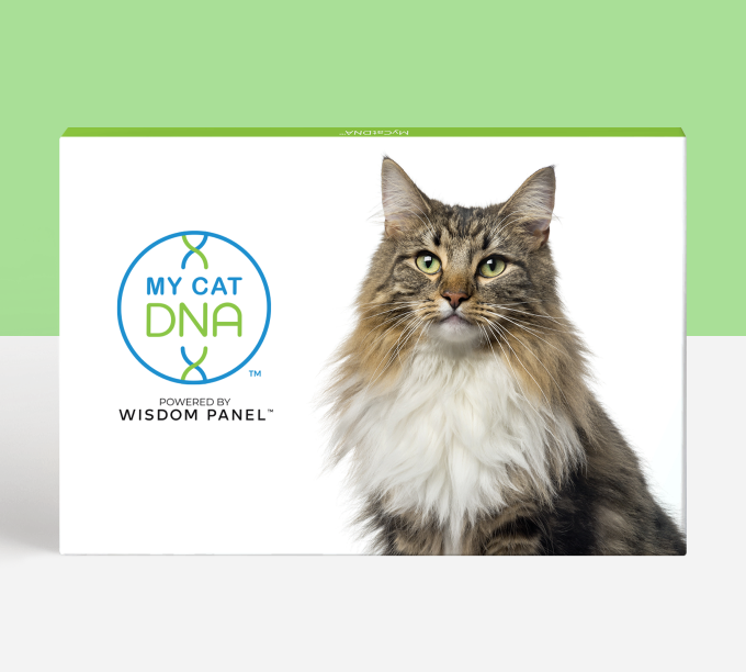MyCatDNA™