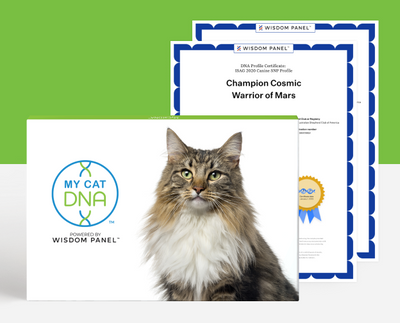 MyCatDNA™ Advanced