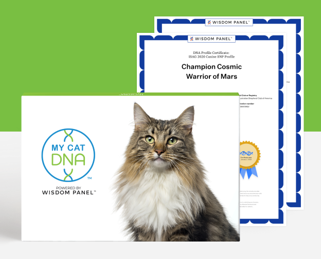 MyCatDNA™ Advanced Upgrade