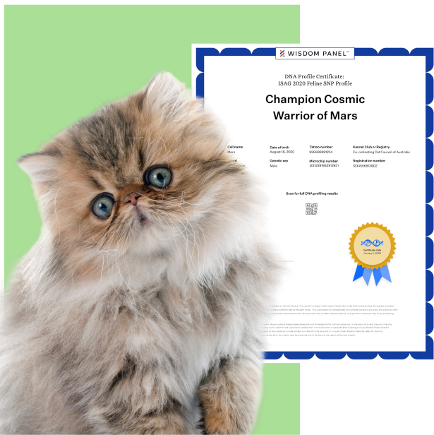cat_parentage.png