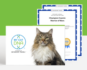MyCatDNA™ Advanced Upgrade