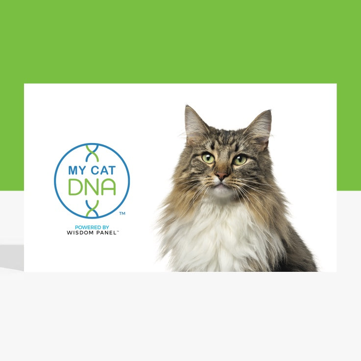 MyCatDNA™ €99,00