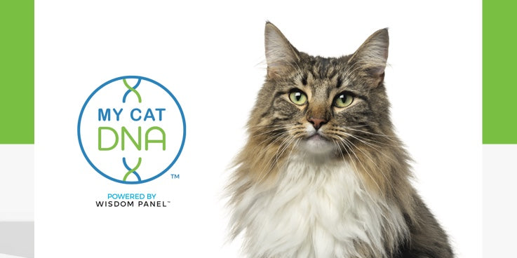 MyCatDNA™